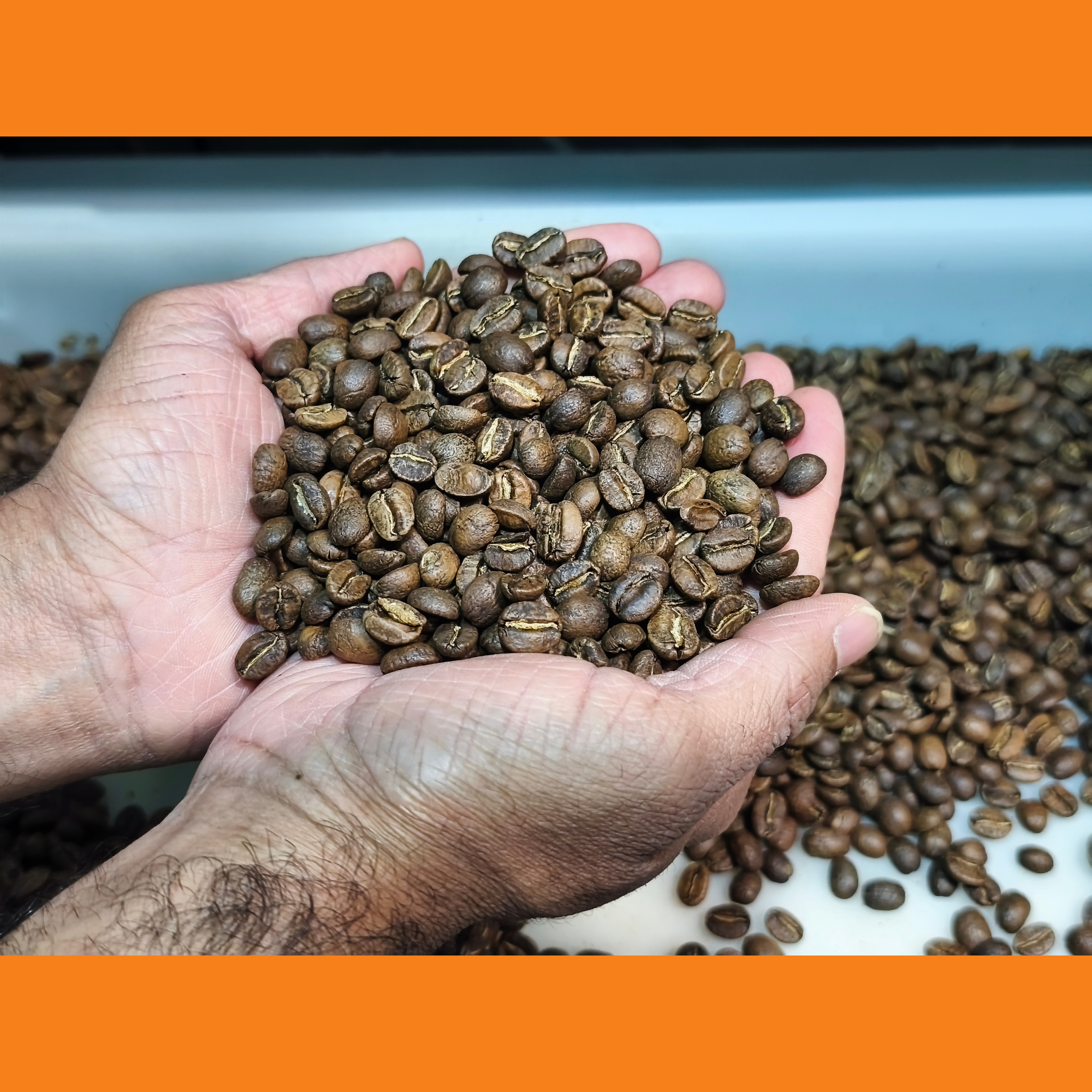 Hạt Cà Phê Arabica by [Ri Coffee] – Song Uyên Tây Nguyên