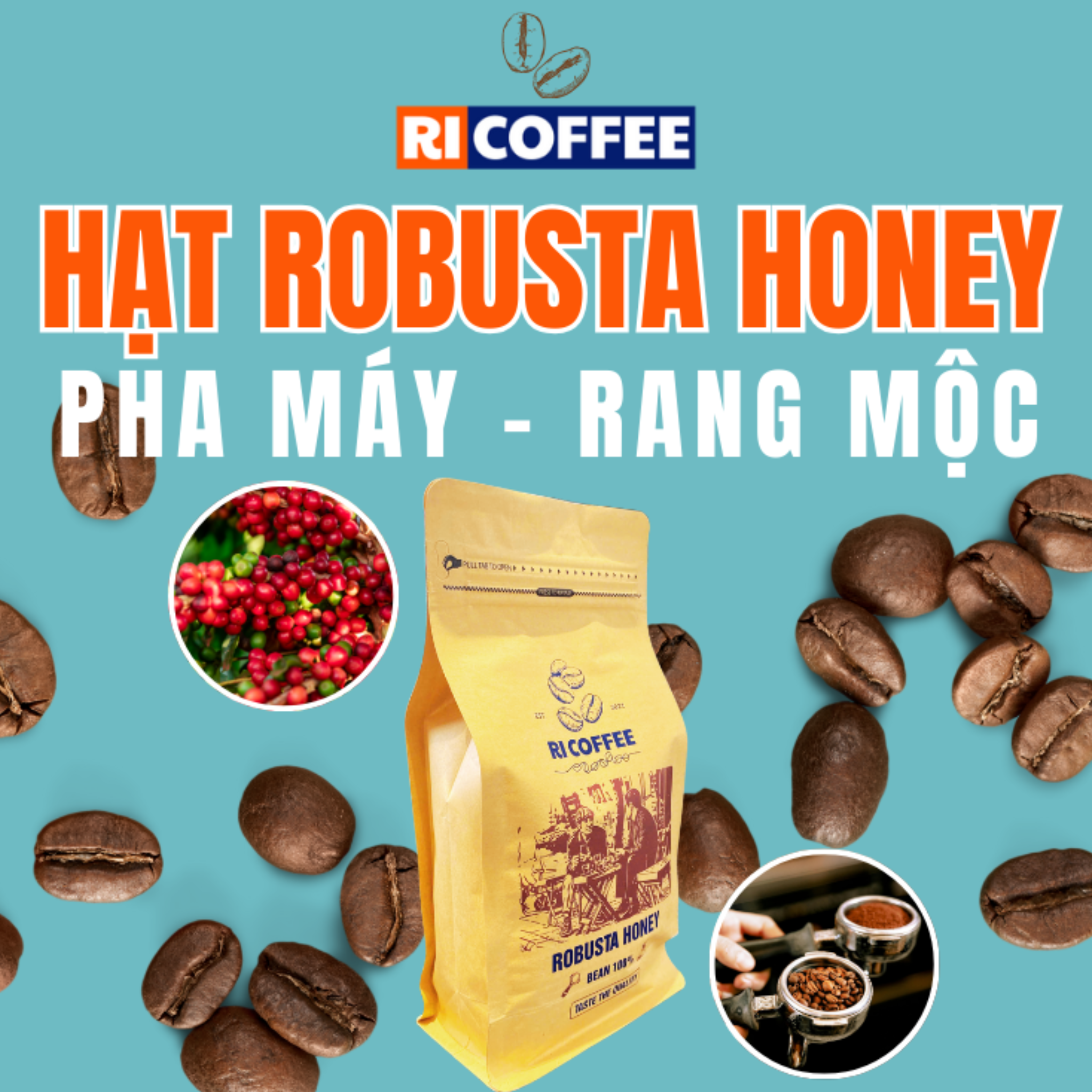 Hương Vị Đặc Trưng, Cà Phê Đặc Sản Robusta Honey Gia Lai by Ri Coffee ...