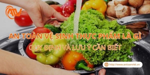 An Toàn Vệ Sinh Thực Phẩm Là Gì? Quy Định Và Lưu Ý Cần Biết