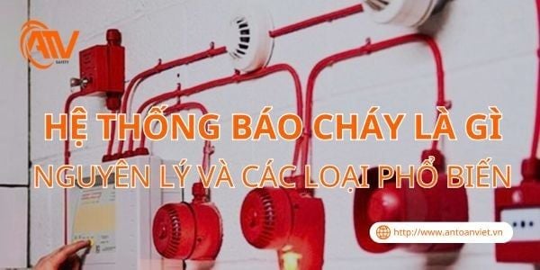Hệ Thống Báo Cháy Là Gì? Nguyên Lý Và Các Loại Phổ Biến