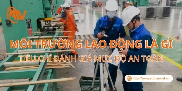 Môi Trường Lao Động Là Gì & Tiêu Chí Đánh Giá Mức Độ An Toàn