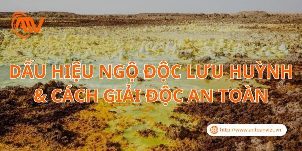 Dấu Hiệu Ngộ Độc Lưu Huỳnh & Cách Giải Độc An Toàn