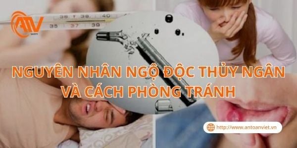 Nguyên Nhân Ngộ Độc Thủy Ngân Và Cách Phòng Tránh