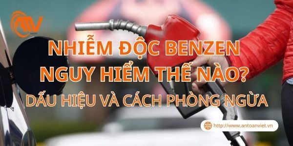 Nhiễm Độc Benzen Nguy Hiểm Thế Nào? Dấu Hiệu Và Cách Phòng Ngừa