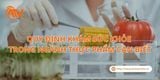 Quy Định Khám Sức Khỏe Trong Ngành Thực Phẩm Cần Biết