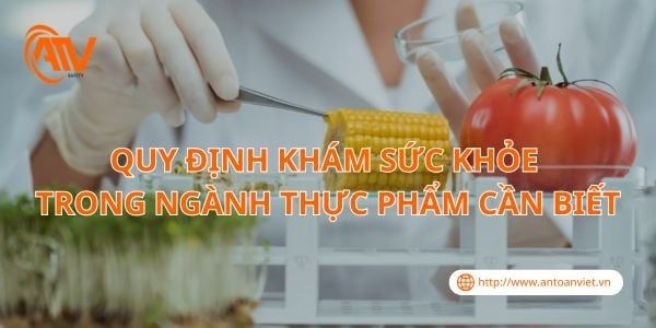 Quy Định Khám Sức Khỏe Trong Ngành Thực Phẩm Cần Biết