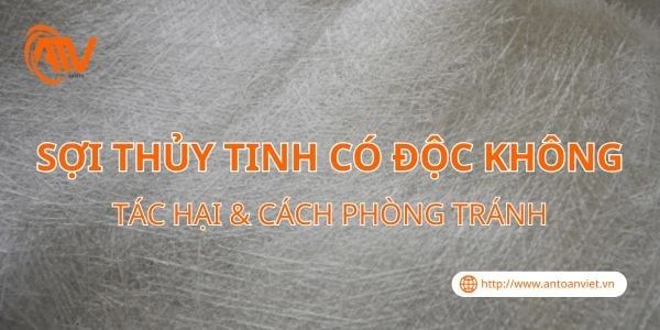 Sợi Thủy Tinh Có Độc Không? Tác Hại & Cách Phòng Tránh