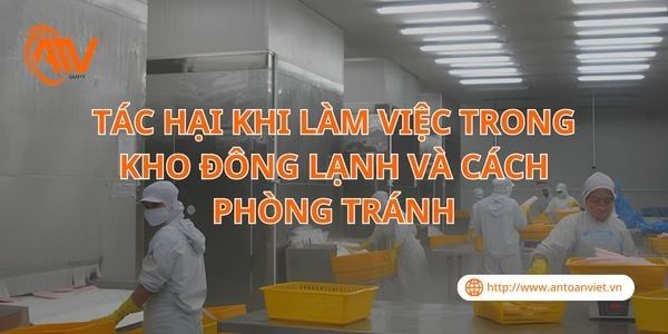 Tác Hại Khi Làm Việc Trong Kho Đông Lạnh Và Cách Phòng Tránh