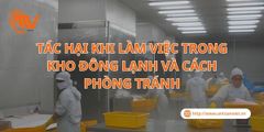Tác Hại Khi Làm Việc Trong Kho Đông Lạnh Và Cách Phòng Tránh