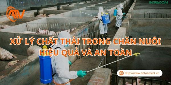 Xử Lý Chất Thải Trong Chăn Nuôi Hiệu Quả Và An Toàn