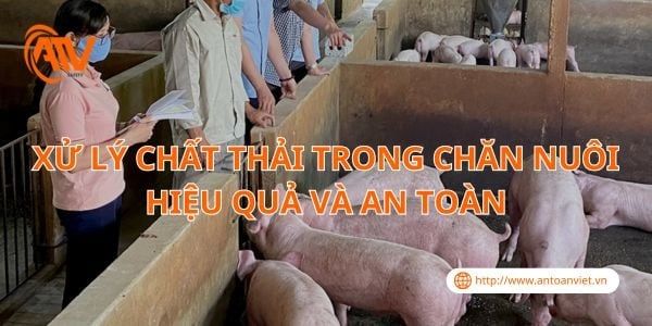 Xử Lý Chất Thải Trong Chăn Nuôi Hiệu Quả Và An Toàn