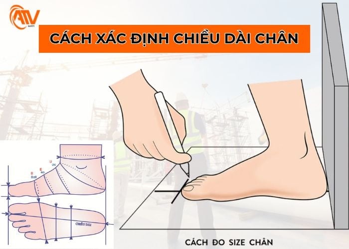 Cách xác định chiều dài chân để chọn size phù hợp nhất