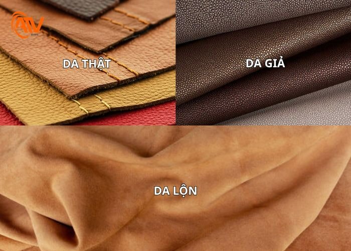 phân biệt các loại da