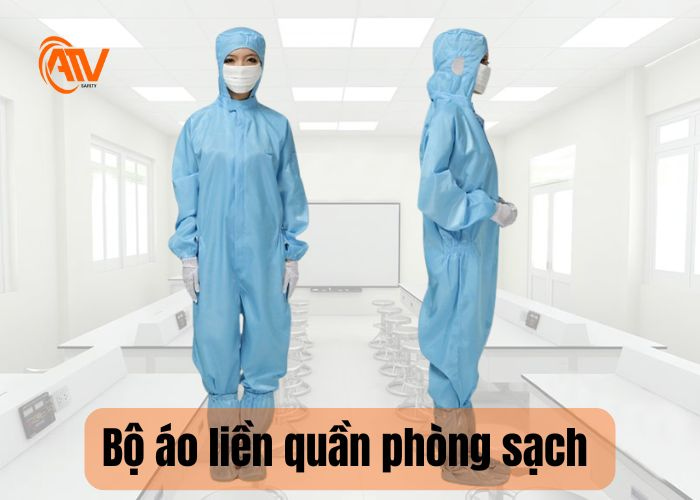 Loại có thể tái sử dụng