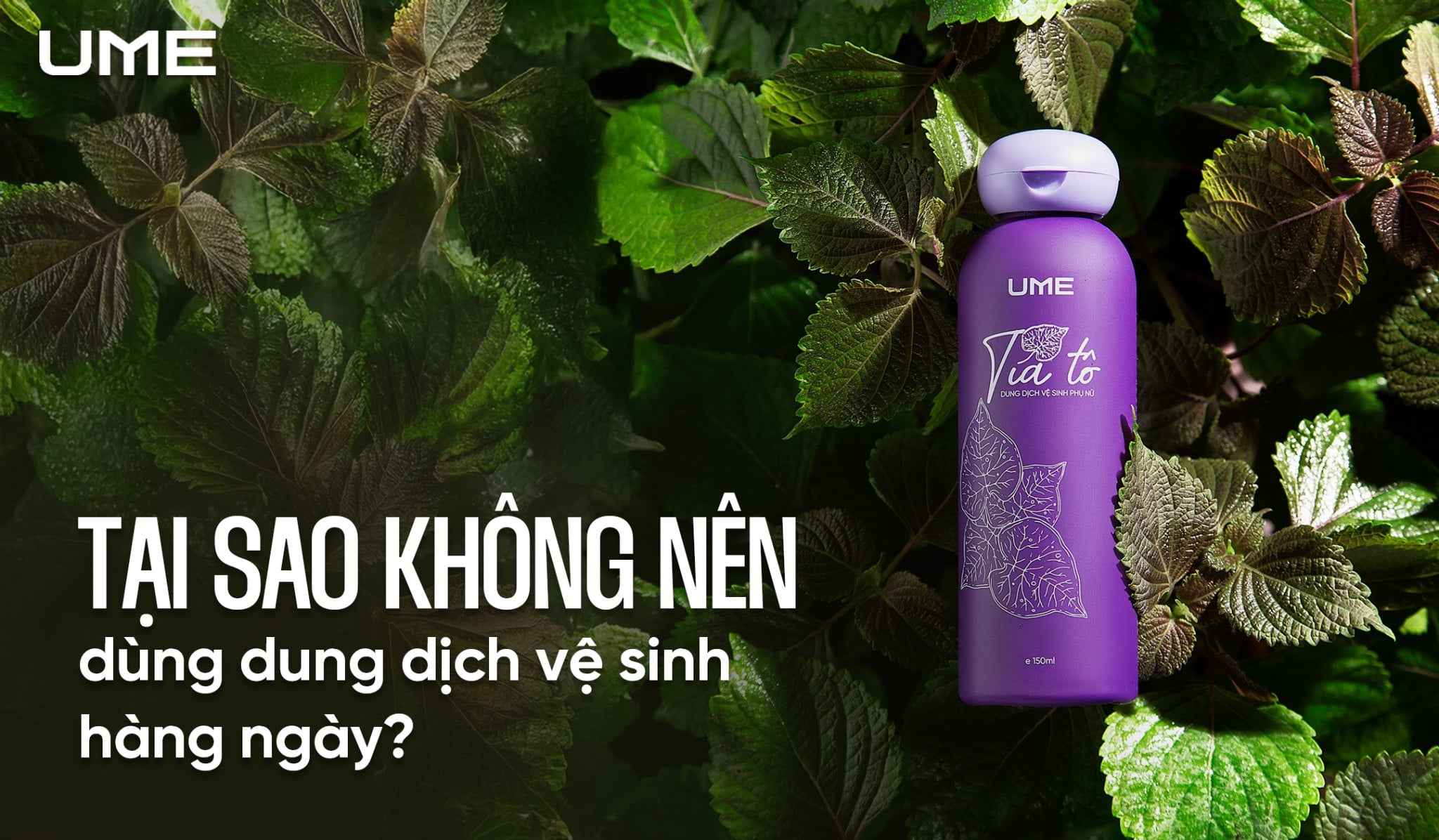 Tại sao không nên dùng dung dịch vệ sinh hằng ngày? Chuyên gia cảnh báo sai lầm mà nhiều người mắc phải