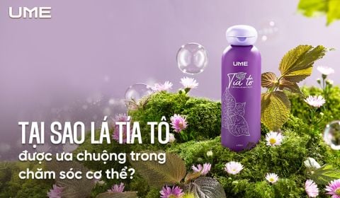 Tại sao lá tía tô lại được ưa chuộng trong chăm sóc cơ thể? Bí mật từ thiên nhiên mà ít ai biết?