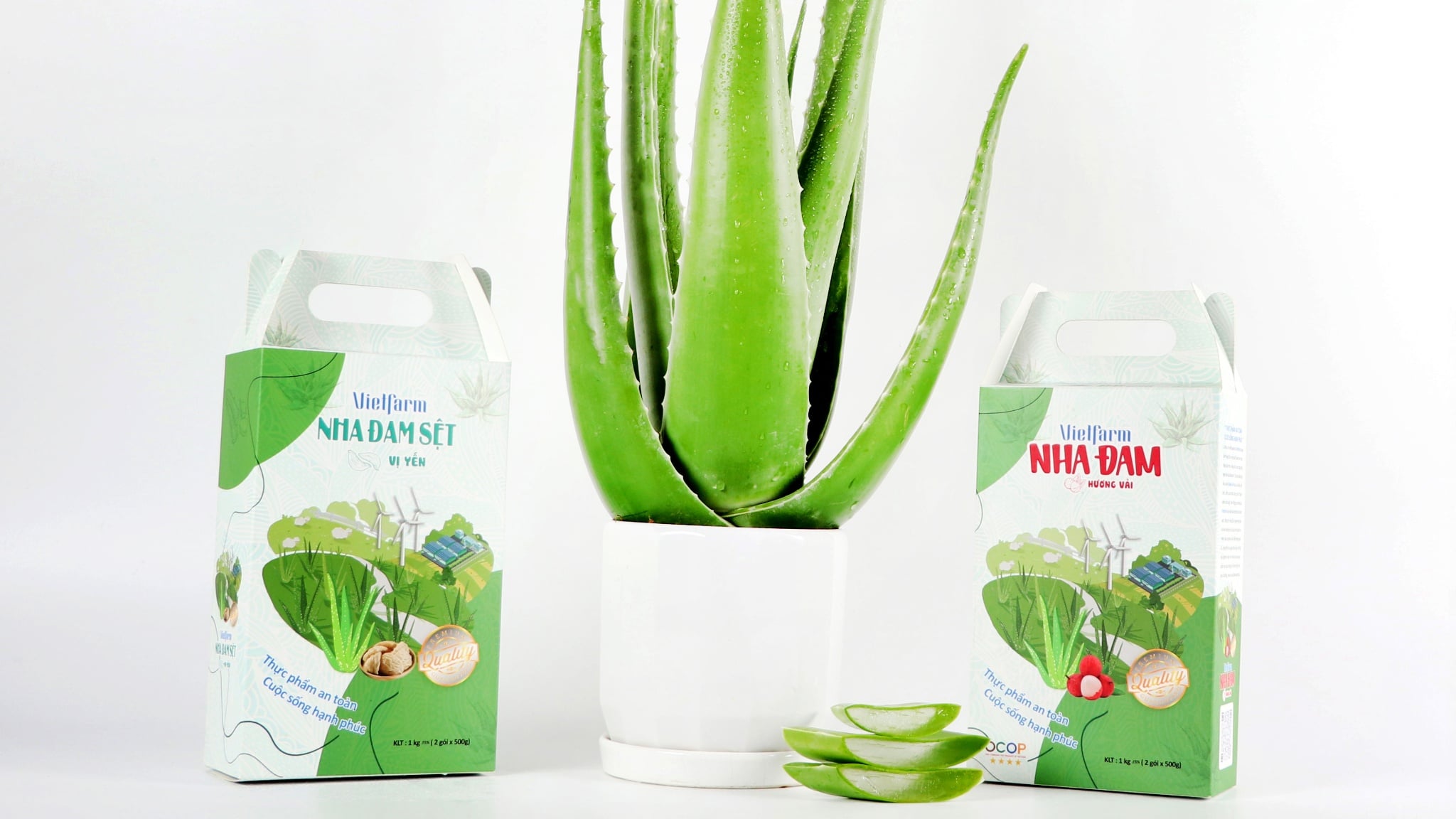 Làm nước yến nha đam đơn giản tại nhà, tốt cho sức khỏe