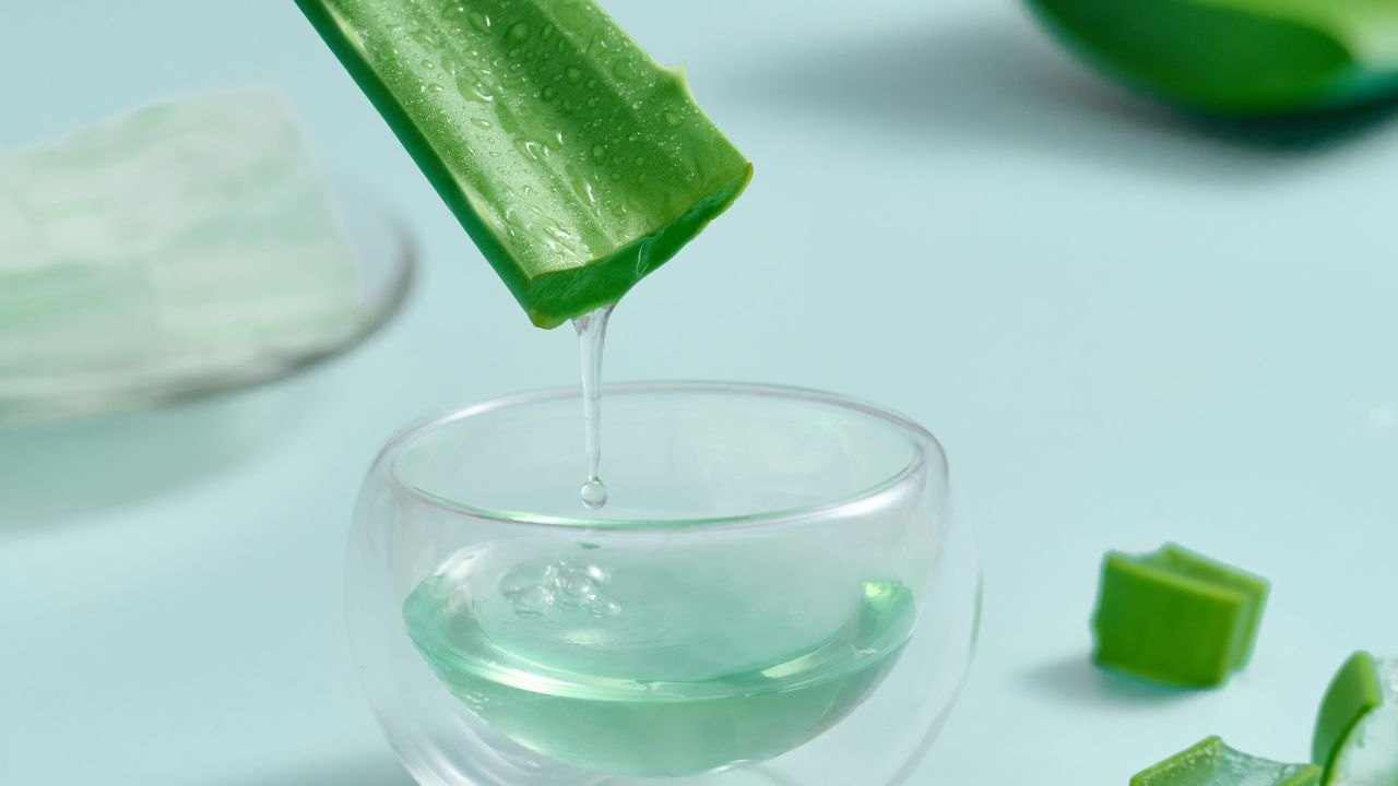 Kem nha đam dưỡng ẩm cho da và những lưu ý khi sử dụng