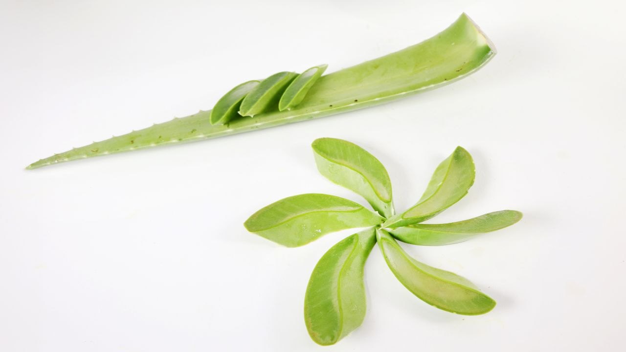 Hướng dẫn cách nấu chè nha đam với bột sắn dây ngon, dễ thực hiện