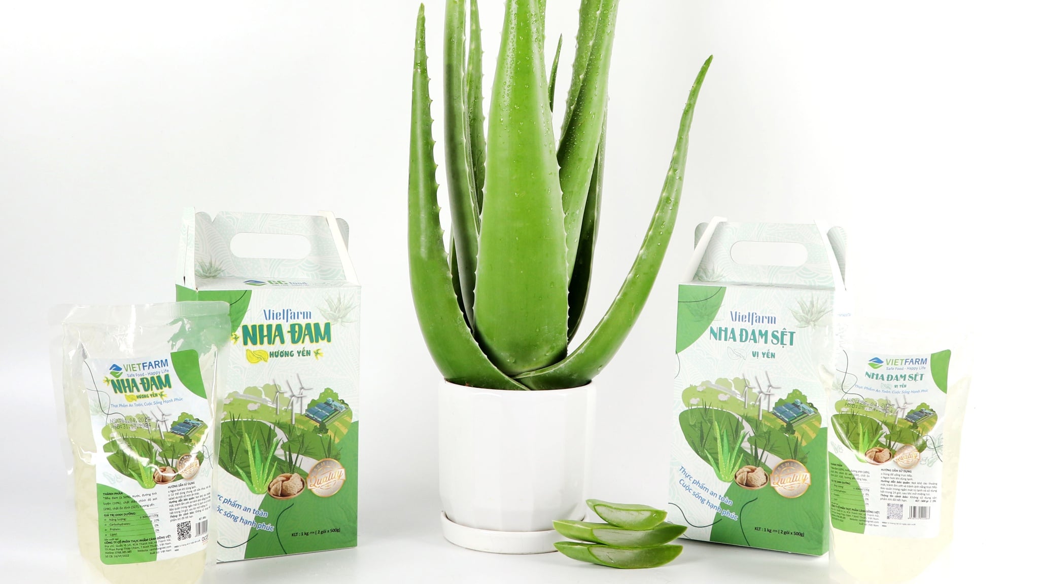 Cách làm sữa chua nha đam bằng nồi cơm điện thơm ngon và giàu dinh dưỡng