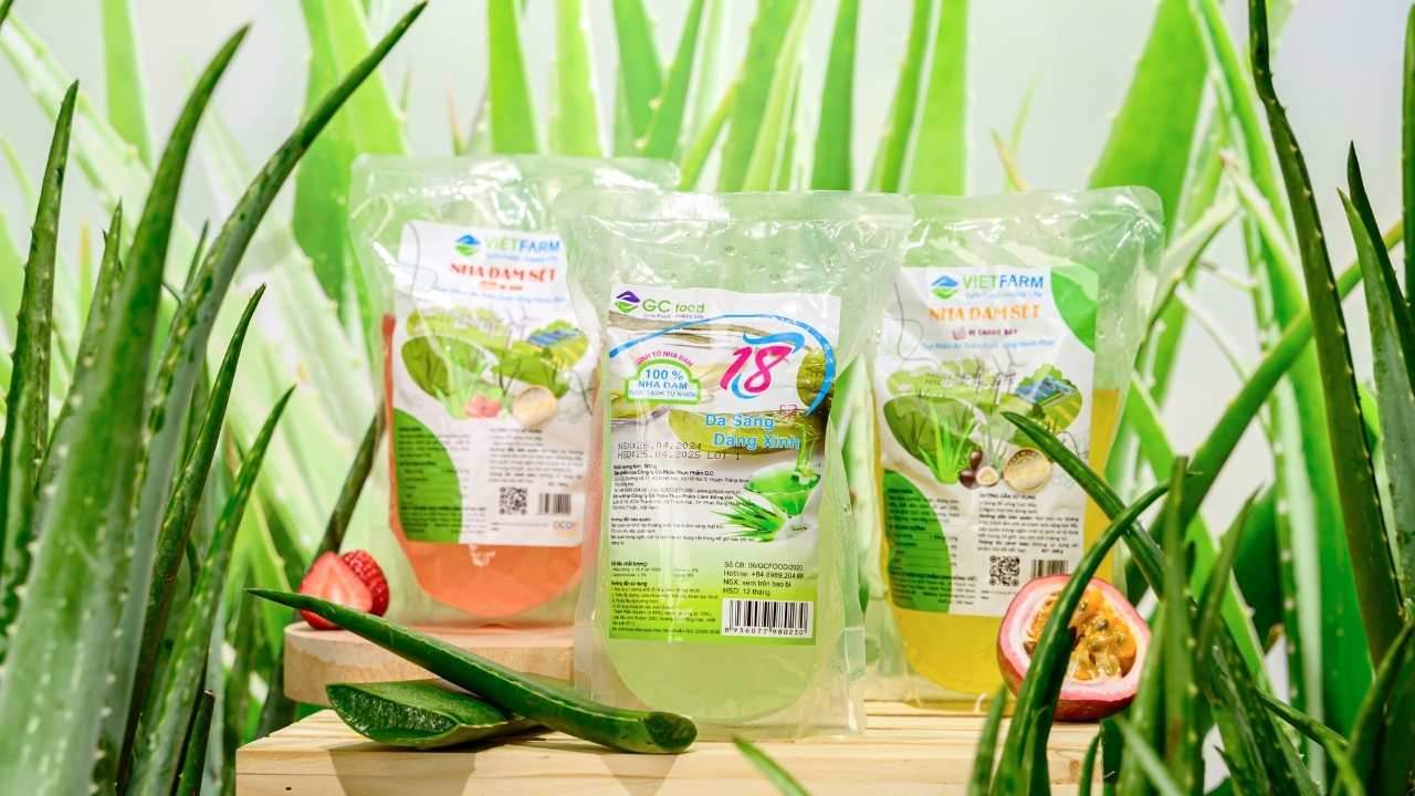 Nhà cung cấp nha đam GC Food: Chất lượng tạo nên uy tín