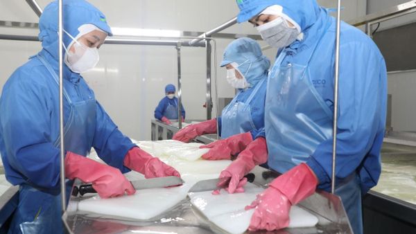 Quy trình kiểm soát chất lượng sản phẩm thạch dừa của GC Food