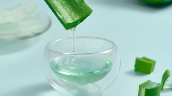 Sữa rửa mặt nha đam: Chọn đúng loại và dùng chuẩn cho từng loại da