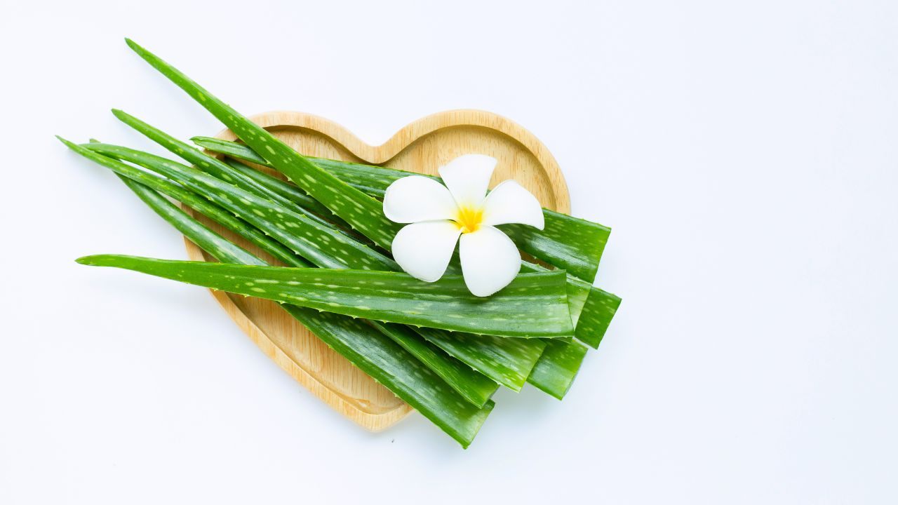 Tác dụng của nha đam với da mặt và lưu ý khi sử dụng