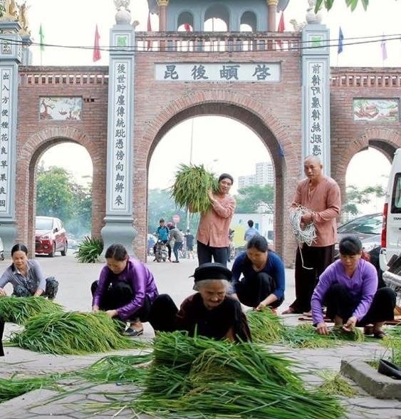 Cốm Mễ Trì là gì? Hương vị làng nghề cốm truyền thống Hà Nội