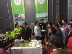 Cốm Hà Nội mua ở đâu? Kinh nghiệm chọn cốm ngon từ người làm nghề