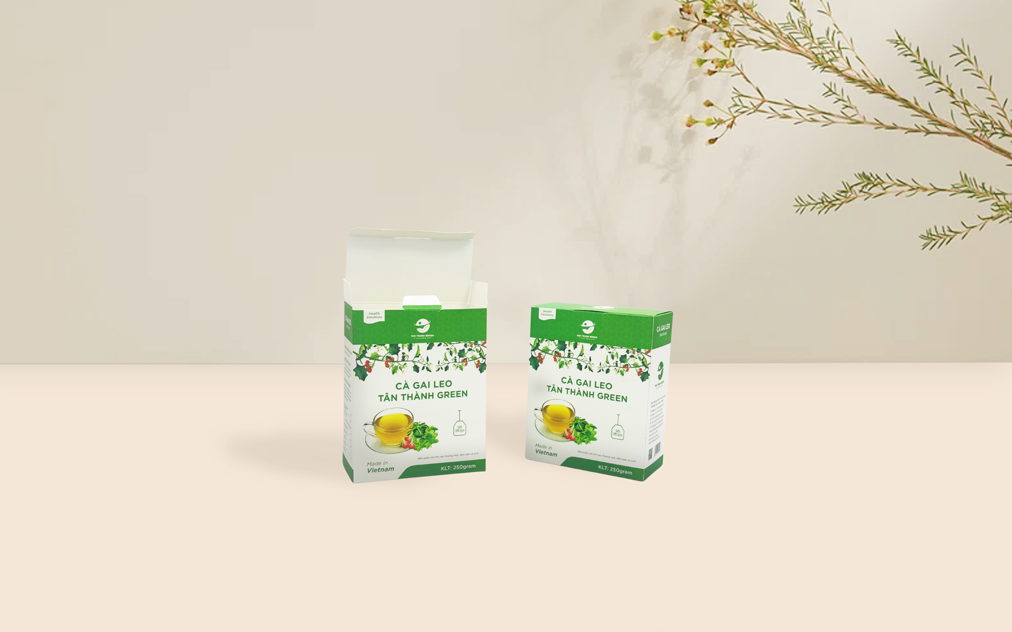 BAO BÌ DƯỢC PHẨM