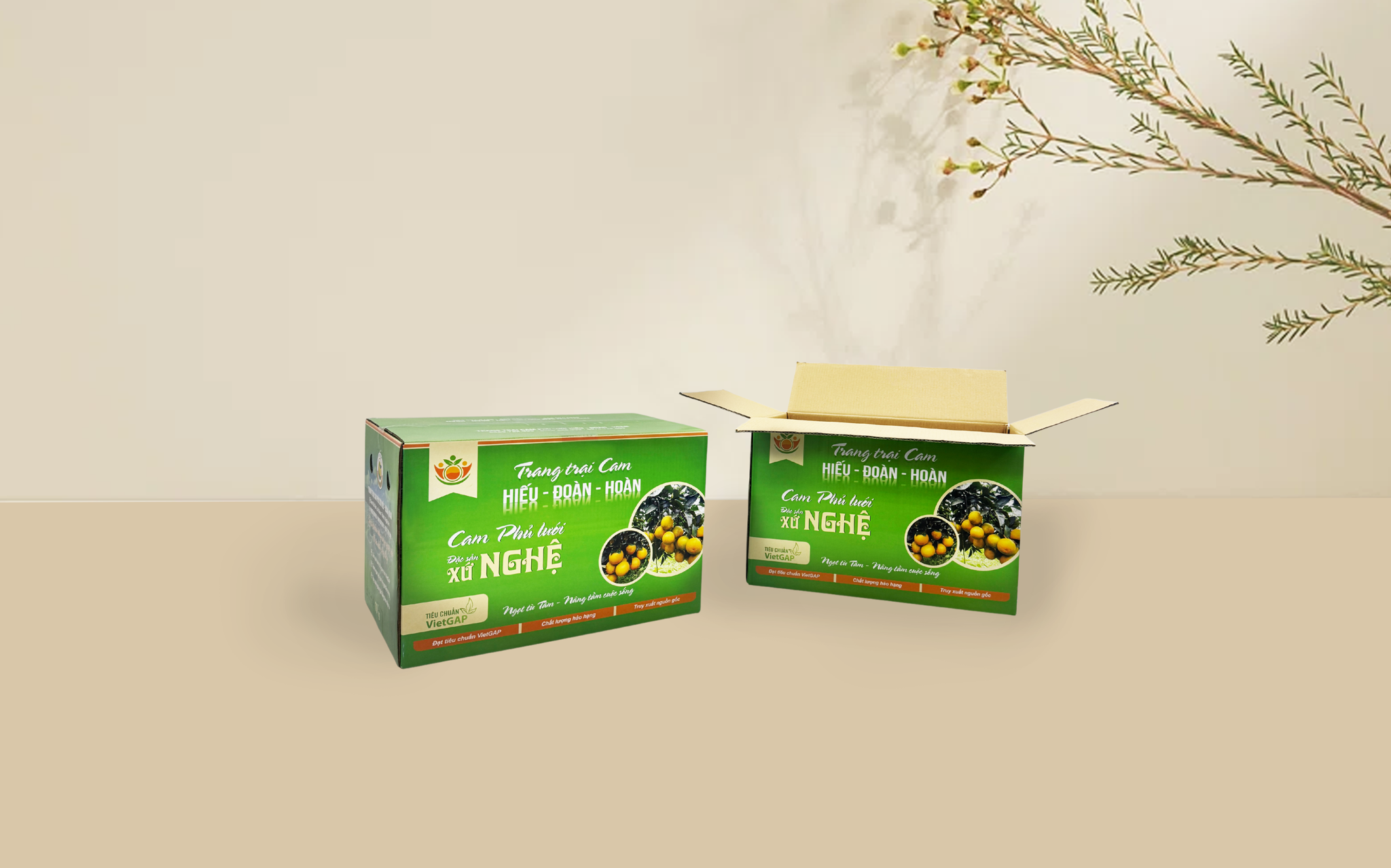 BAO BÌ NÔNG SẢN