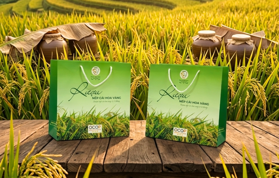 XU HƯỚNG SỬ DỤNG TÚI GIẤY TẠI NGHỆ AN – DOANH NGHIỆP ĐANG CHUYỂN DỊCH NHƯ THẾ NÀO?