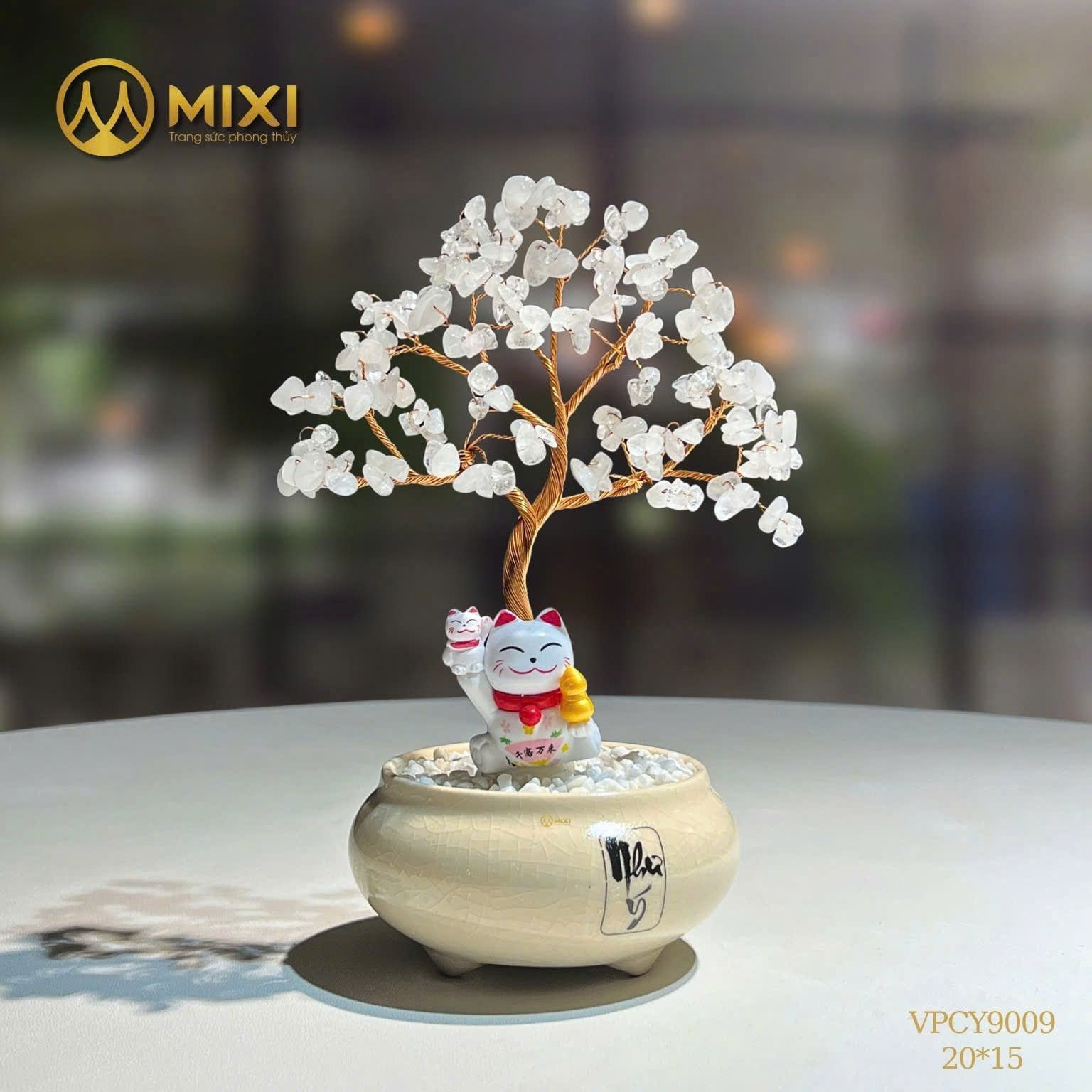Cây Tài Lộc Chậu Men Chữ 
