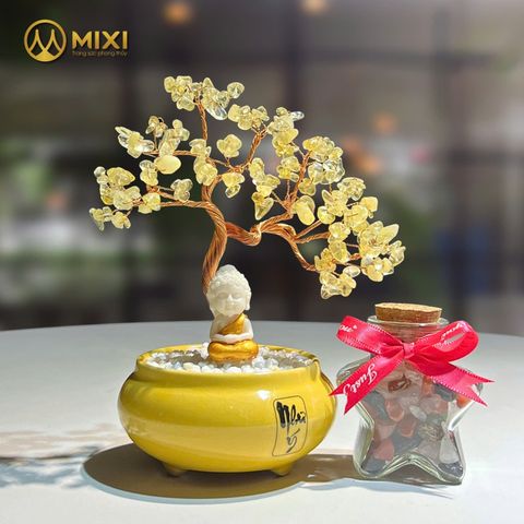 CÂY TÀI LỘC THẠCH ANH VÀNG – CHẬU MEN CHỮ NHƯ Ý TẶNG KÈM HŨ ĐÁ THẠCH ANH NGŨ SẮC – MÓN QUÀ TRI ÂN THẦY CÔ NGÀY 20/11