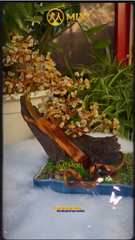 🌤️ Cuộc sống vốn vô thường… có những điều ta chẳng thể giữ, cũng chẳng thể đoán trước. Vậy nên, hãy tự cho mình một khoảnh khắc bình yên, một chút ánh sáng để trái tim nhẹ lại.