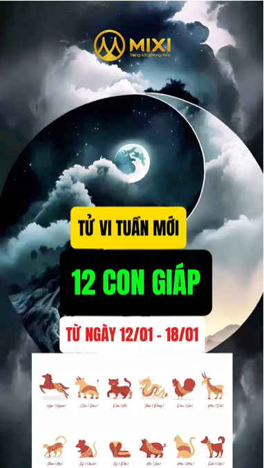 TỬ VI TUẦN MỚI CỦA 12 CON GIÁP TỪ 12/1 - 18/1