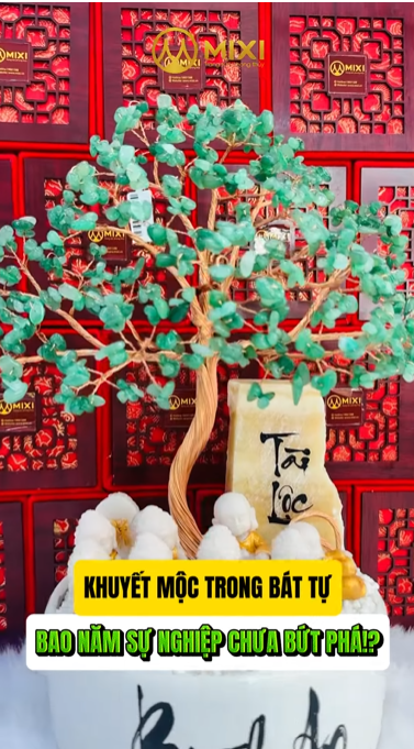 🎬 KHUYẾT MỘC TRONG BÁT TỰ – SỰ NGHIỆP KHÓ BỨT PHÁ?