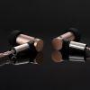 Final Audio S6000, tai nghe in ear made in Japan
