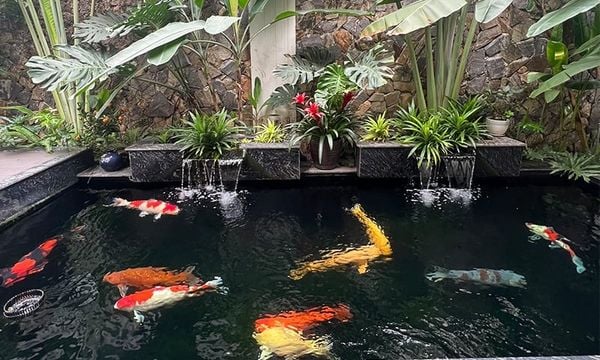 Sai lầm khi tăng oxy quá nhanh khi trời bắt đầu nóng