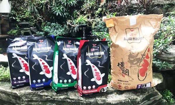 So sánh thức ăn cá Koi Aqua Master Staple, Growth, Color Enhancer: Chọn đúng để không lãng phí