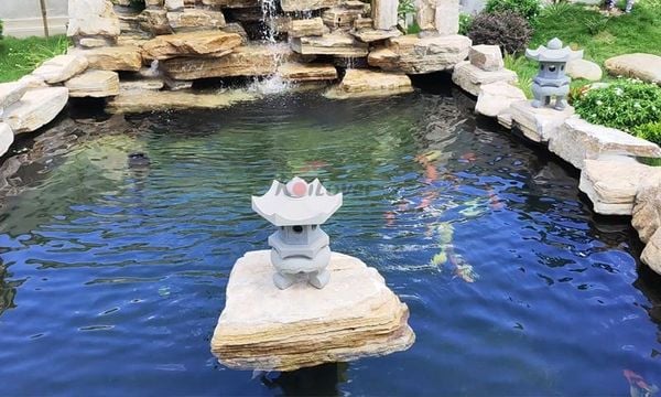 Kiểm tra chất lượng nước hồ koi mùa đông có quan trọng không?