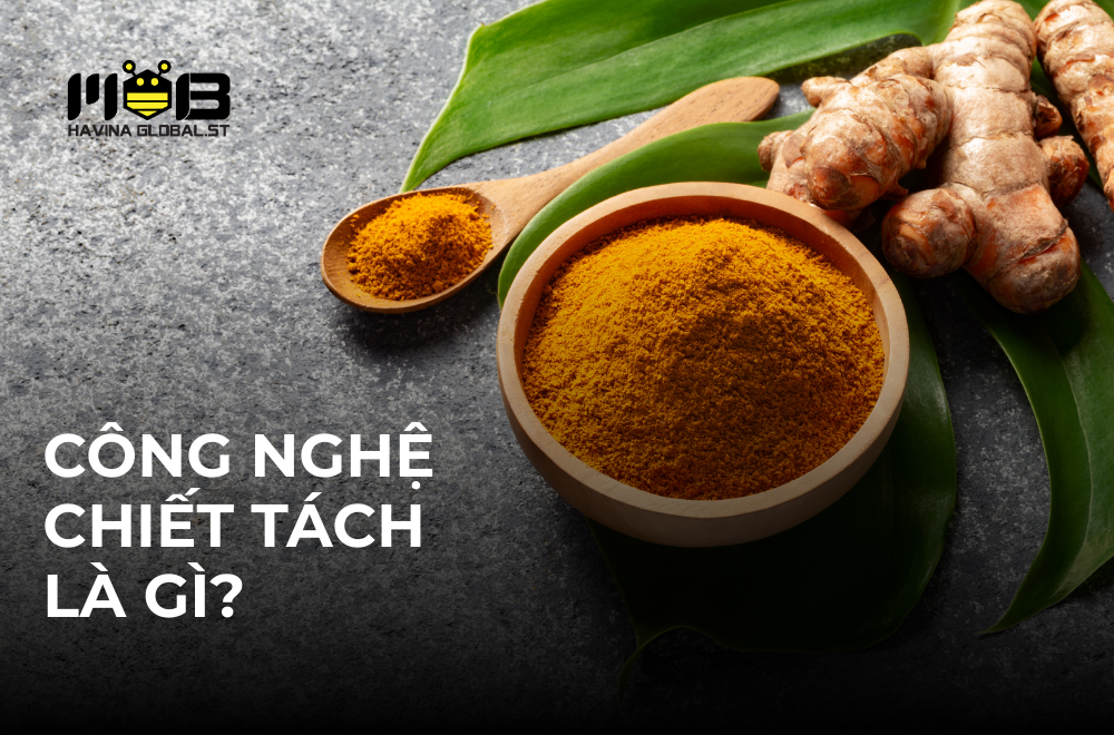 Công nghệ chiết tách tinh khiết – Giữ trọn tinh hoa từ thảo mộc