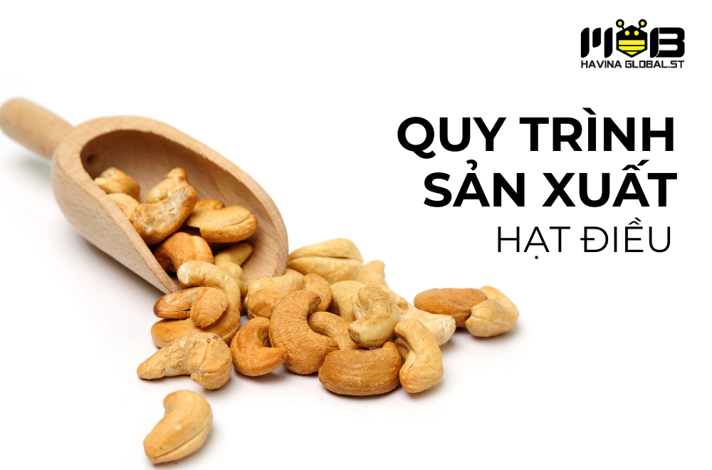 Quy trình sản xuất hạt điều rang muối HAVINA, giòn ngon từng hạt, giàu dinh dưỡng tự nhiên