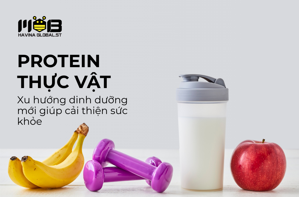 Protein Thực Vật – Xu hướng dinh dưỡng mới với tiềm năng cho sức khỏe và môi trường