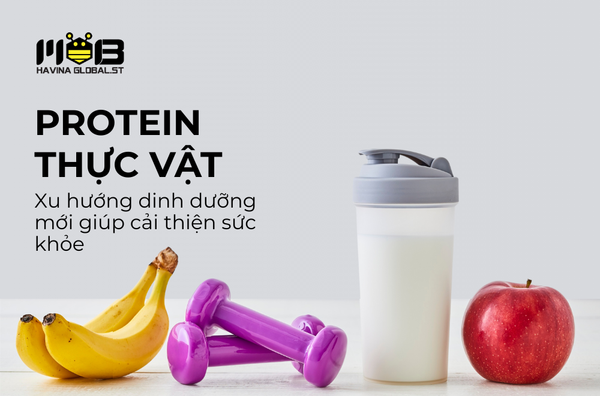 Protein Thực Vật – Xu hướng dinh dưỡng mới với tiềm năng cho sức khỏe và môi trường