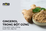 Gingerol trong bột gừng: Nghiên cứu mới về lợi ích giảm buồn nôn, đầy hơi