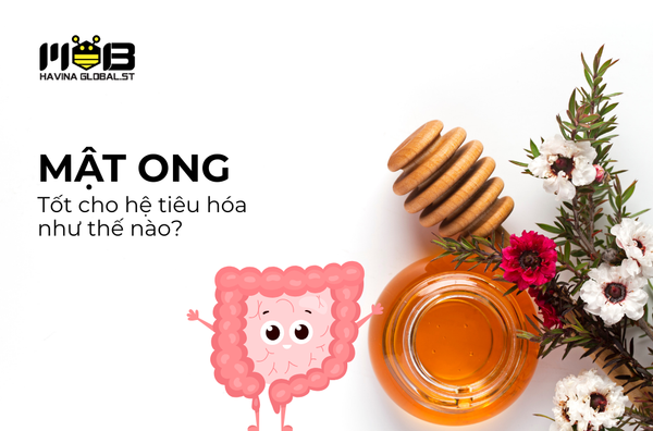 Mật ong tốt cho hệ tiêu hóa như thế nào? Bí quyết nuôi dưỡng đường ruột khỏe mạnh