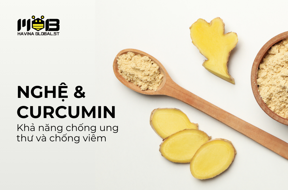 Góc nhìn từ nghiên cứu khoa học của bột gừng và hệ tiêu hóa