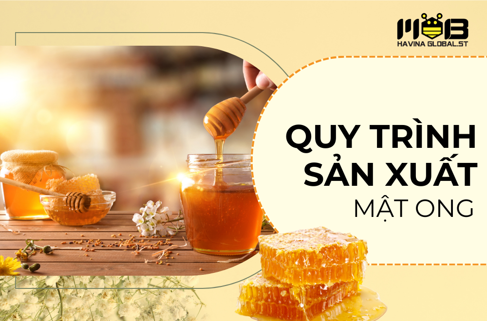 Quy trình sản xuất mật ong & mật ong phối trộn HAVINA - Tinh khiết từ tự nhiên